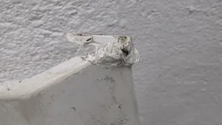 7482576239 Крышка инструментального ящика Renault T-Series Trucks Арт 20635784, вид 2