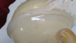 13545831 Расширительный бачок Chevrolet Trax Арт 20656027, вид 4