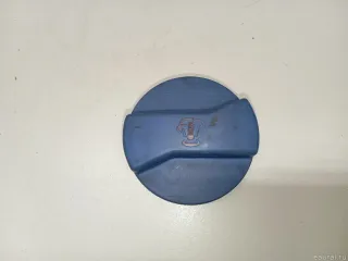 V100209 Крышка расширительного бачка Audi A6 C5 (S6,RS6) Арт E23681186, вид 1