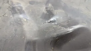 BP4M56140G Защита арок передняя левая (подкрылок) Mazda 3 BK Арт 20693368, вид 2