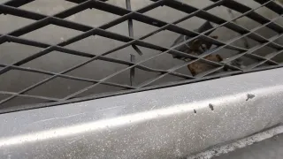  Бампер передний серебристый Mazda 3 BK Арт 20707830, вид 2