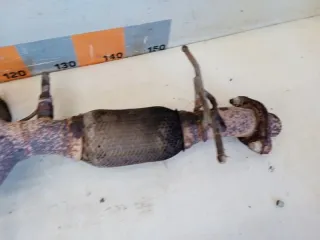 Z6Y32050XA Коллектор выпускной Mazda 3 BK 1.6л Арт 2-969792, вид 7