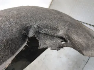 853364 Защита арок задняя левая (подкрылок) Citroen C5 2 Арт 20714887, вид 2