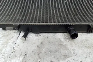 2230003374 Радиатор (основной) Mazda 121 3 Арт e12529575, вид 2