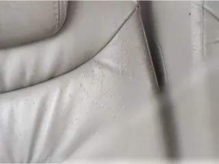  Сиденье переднее левое Citroen Xsara Picasso Арт 170072903_1, вид 9