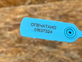 PJ93-8B550-DB Патрубок (трубопровод, шланг) Ford Mustang Mach-E Арт 01637324, вид 10