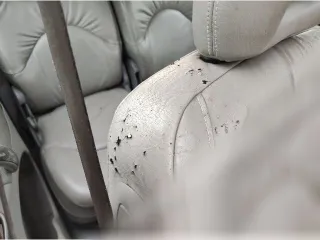  Сиденье переднее левое Citroen Xsara Picasso Арт 170072903_1, вид 13