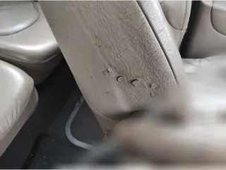  Салон (комплект сидений) Citroen Xsara Picasso Арт 170072903, вид 6