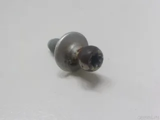 895827439D Клипсы, заклёпки, пистоны Audi A6 C6 (S6,RS6) Арт E52616839, вид 2