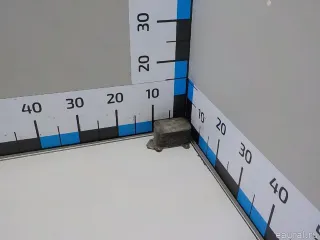 1103L1 Радиатор масляный Citroen C4 1 restailing Арт E52629105, вид 3