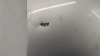  Капот серебристый Mazda 3 BK Арт 20714060, вид 4