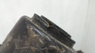 81434026744 Полурессора MAN TGL Арт 20754487, вид 3