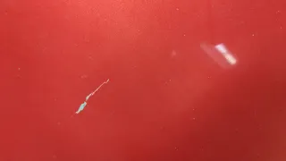 BBY45231XC Капот красный Mazda 3 BL Арт 20759582, вид 3