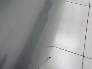 9008Q6 Дверь сдвижная Citroen Berlingo 3 Арт E48703431, вид 4