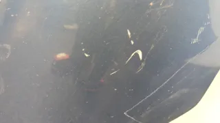 9677694680 Шумоизоляция капота Citroen C4 Grand Picasso 2 restailing Арт 11594959, вид 4