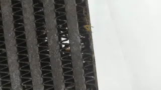 0384L6 Интеркулер Citroen C6 Арт 20792479, вид 4