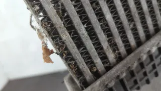 0384L6 Интеркулер Citroen C6 Арт 20792479, вид 3