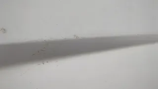 82376273 Крышка инструментального ящика Renault T-Series Trucks Арт 20806411, вид 3