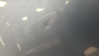 5102345AA Форточка задняя левая Chrysler Pacifica 2004 Арт 11539996, вид 4