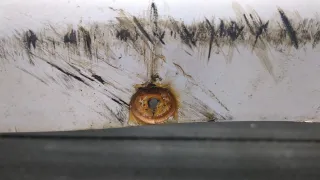  Дневные ходовые огни левые Citroen C4 Grand Picasso 1 Арт 11614022, вид 3