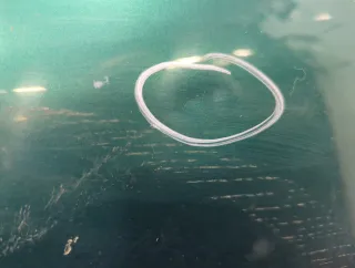 9006C5 Дверь сдвижная левая зеленая Citroen Berlingo 1 restailing Арт 20786469, вид 3