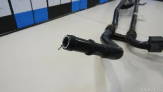 401389 Радиатор гидроусилителя Citroen Berlingo 3 Арт E81157702, вид 5