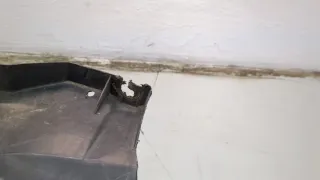 8533AY Защита арок задняя левая (подкрылок) Citroen C4 2 Арт 20849541, вид 5