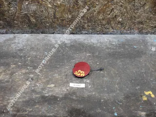 511657929R Заглушка (решетка) в бампер задний Renault Sandero Stepway 2 Арт 00120827, вид 1