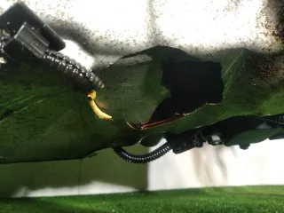 8571358 , 12318571358,8635553 , 12318635553 Генератор BMW X4 F98 3.0л Арт 00286190sep1, вид 6