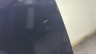 8569Y1 Стекло двери задней левой Citroen C8 Арт 11663088, вид 4