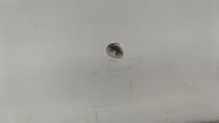 4F5807303D Бампер задний серый Audi A6 C6 (S6,RS6) Арт 20900278, вид 3