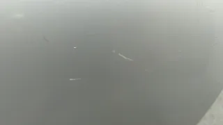 9813092980 Стеклоподъемник правый задний Citroen C3 3 Арт 11663418, вид 4