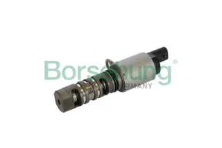 B11866 Borsehung Клапан ГРМ Audi A3 8Y Арт B11866BORSEHUNG