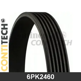 6PK2460 ContiTech Ремень ручейковый Audi A8 D5 (S8) Арт 6PK2460CONTITECH, вид 1