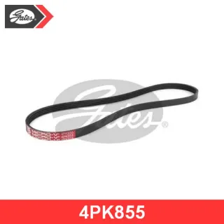 4PK855 Gates Ремень ручейковый Audi A6 C5 (S6,RS6) Арт 4PK855GATES, вид 1