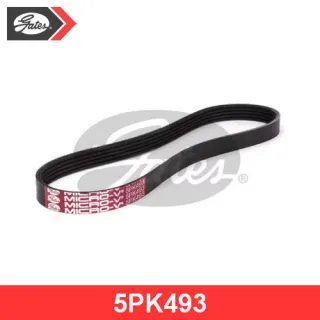 5PK493 Gates Ремень ручейковый Volkswagen Golf 6 Арт 5PK493GATES, вид 1