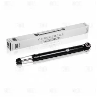 AG18505 Trialli Амортизатор задний Audi A6 C6 (S6,RS6) Арт AG18505TRIALLI, вид 1