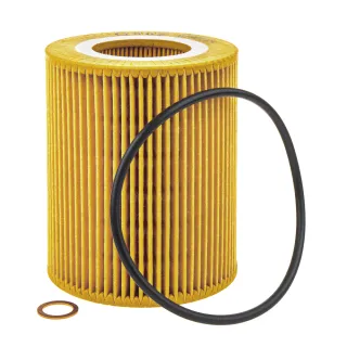 GIR01124 Ganz Фильтр масляный BMW Z4 E85/E86 Арт GIR01124GANZ, вид 2