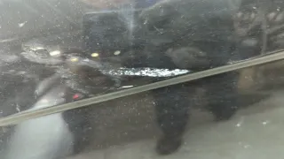 9006F2 Дверь задняя левая черная Citroen C5 1 Арт 20906705, вид 2