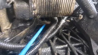 11000413756,0413756,306D3 Двигатель BMW X3 E83 3.0л Турбо Арт 20995554, вид 3