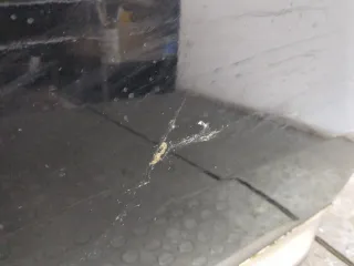 4Z7831052A Дверь передняя правая черная Audi A6 C6 (S6,RS6) Арт 21031658, вид 5