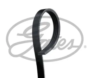 4pk878gates,4668380ac,04668380aa,4612229,md117356,4668380af,4668380ae,4668380ad,4668380ac,4668380ab,4668380aa,4668180,3555557136,56992p2t003,56992p2t004,2521223020,9091602386,9091602693,90916w2029,9771322000,2521223000,9091602693,b3c718381b,mb3c718381b,90916w2029,9091602386,2521223000,9936480880,9091602386,9008091212,9008091088,b3p515908,b3c718381b,b63015907,b3c718381a,b3p715908,b3c718381,b36015907a,f80815381,b63015907b,b63015907a,b5a118381,md118572,md117358,md117356,1340a058,1340a057,1192030r10,a192030r12,1172024u00,1172024u01,1172059s01,1192030r10,1192030r11,1192030r12,md117356,md118572,7700709398,7700729330,r7700709398,279023116304,279023116307,9008091212,9008091088,9008091093,9091602386,9091602268,9091602269,9091602365,90916w2029,9936430880,9936420880,9936490880,9936480880,9936450880,9091602693 Ремень генератора TATA Indica Арт 4PK878GATES, вид 1