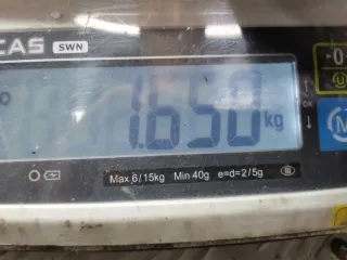 19005212 Катушка зажигания Opel Astra G 1.6л i Арт 2183717, вид 6